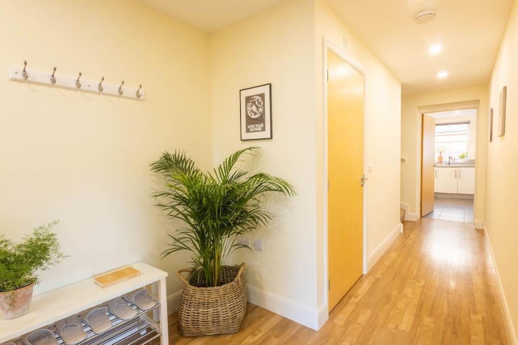 The Wellness Lodge- Gym, Table Tennis, Cinema, Parking And More! Bath Luaran gambar
